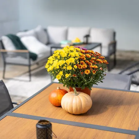 Apartmán Frizzante Vendeghaz *