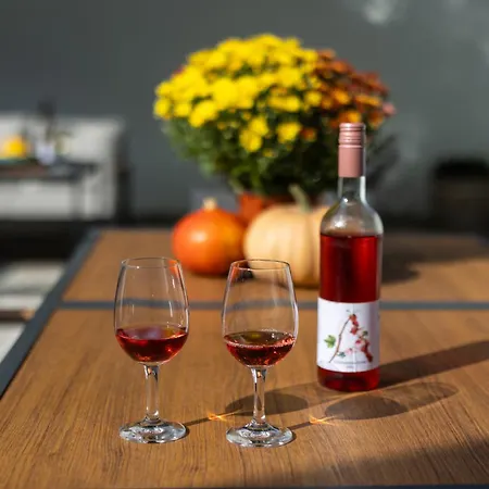 Apartmán Frizzante Vendeghaz *