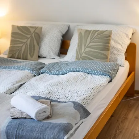 Frizzante Vendeghaz Apartment