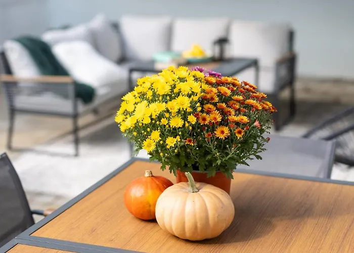 아파트 Frizzante Vendeghaz *