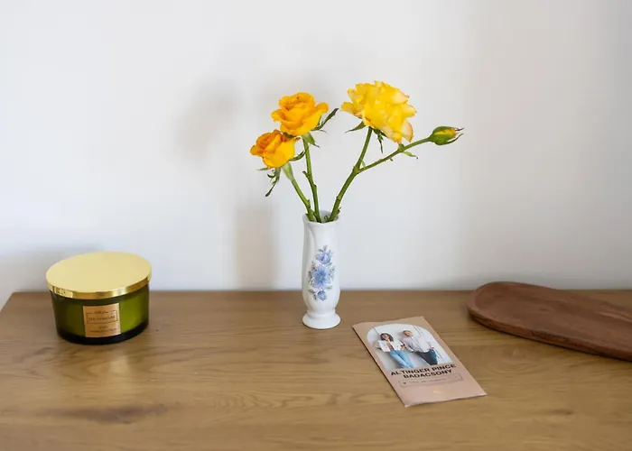 Διαμέρισμα Frizzante Vendeghaz