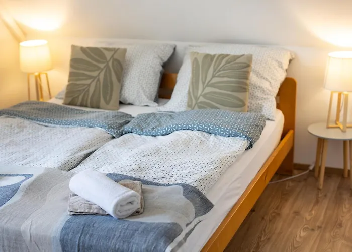 Frizzante Vendeghaz 아파트